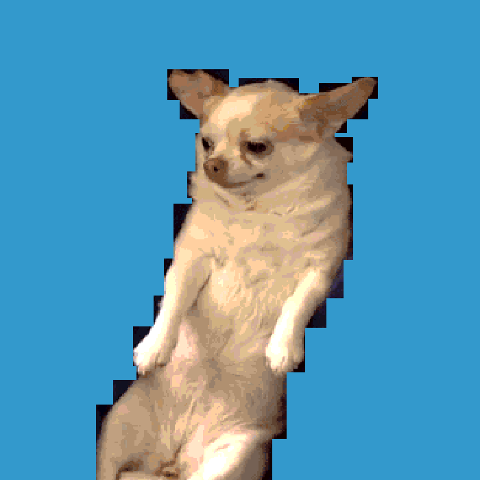 Doggy Glitch gallery 2